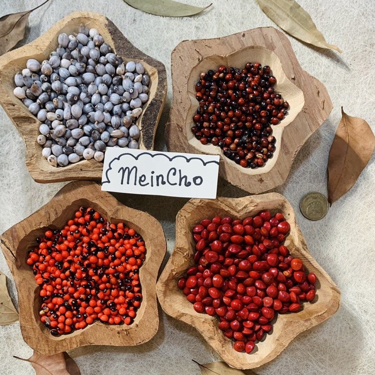 Sport Sistem (100Gr/350Biji) Kerajinan Kolase Biji Saga Merah Hitam Saga Telik Jali Barley Jelali