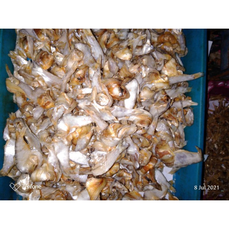 

Bulu entok 100 gram