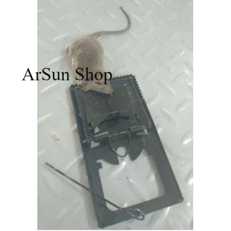 JEPRETAN TIKUS TEBAL | JEBAKAN TIKUS | PENJEPIT TIKUS