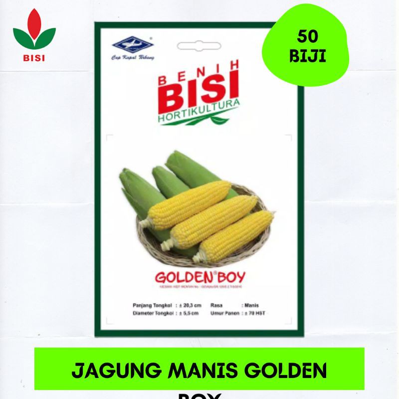 • TERLARIS • Benih Jagung Manis Golden Boy Hidroponik/JAGUNG MANIS/BISI/ORIGINAL/MURAH