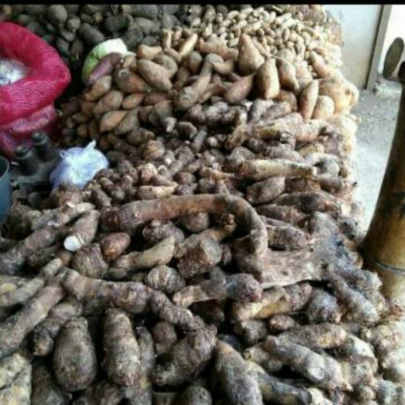 

Ubi talas kimpul ,Ubi Talas 500 gram
