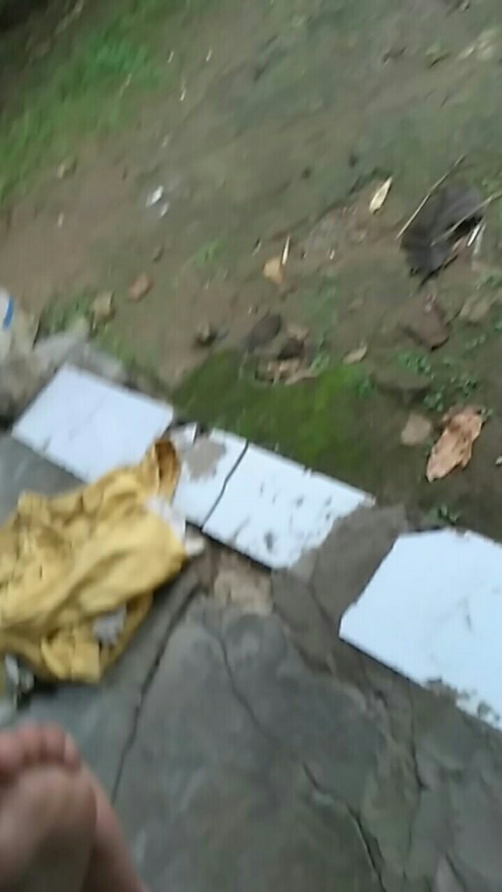 Wallpaper Dinding Bunga Hijau Gold Kotak