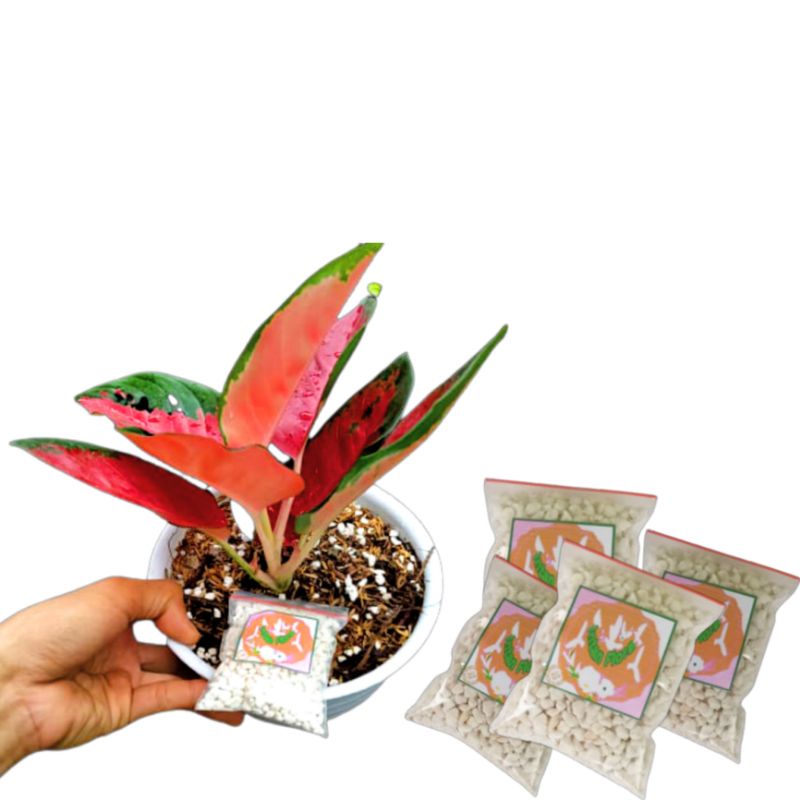 2 PCS Perlite-Media Tanam Premium Eropa /Untuk campuran nutrisi media tanam