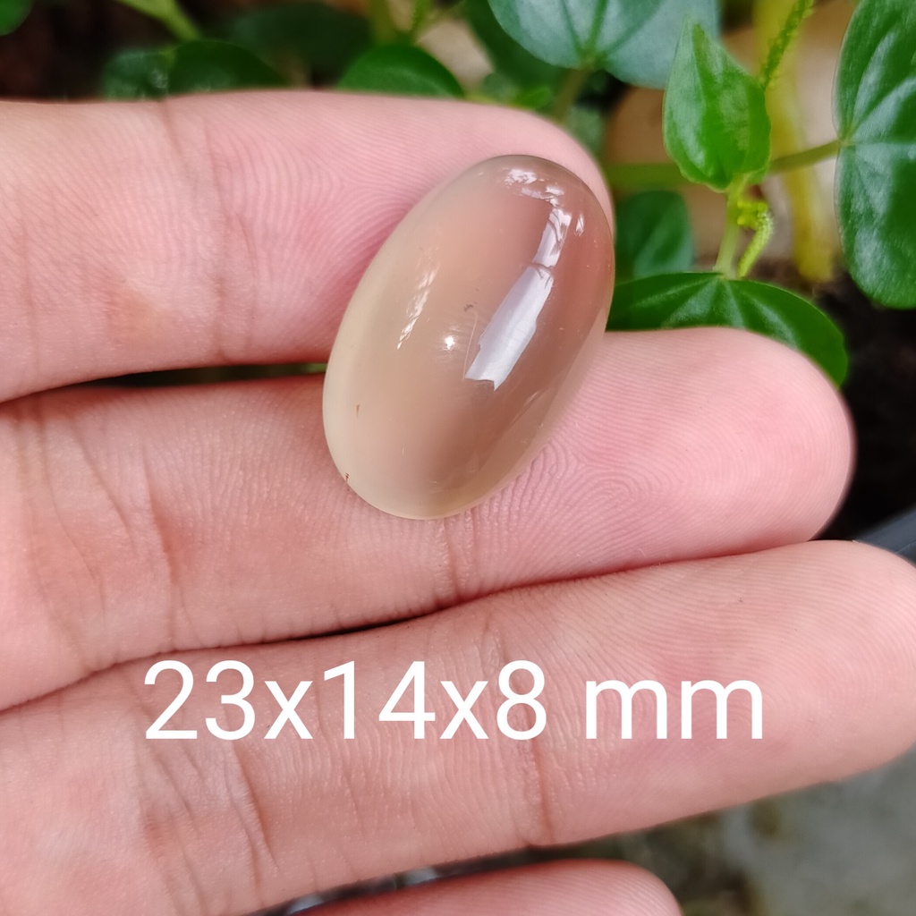 BATU PUTIH CEMPAKA ASLI BKN RUBY SAFIR YAKUT BACAN ZAMRUD OPAL AGATE