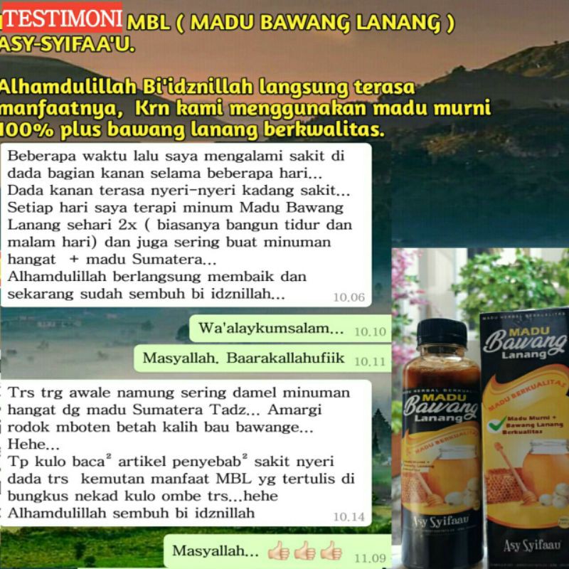 Madu Bawang Lanang Alami 330 gram