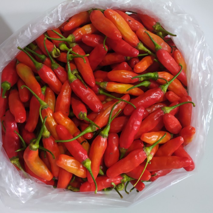 

Instan-Masak-Bumbu- Cabai Rawit Setan / Sayuran / Bumbu -Bumbu-Masak-Instan.