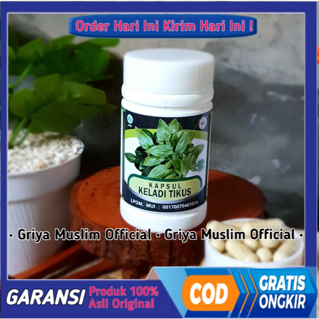 

Herbal KELADI TIKUS Obat 60kapsul
