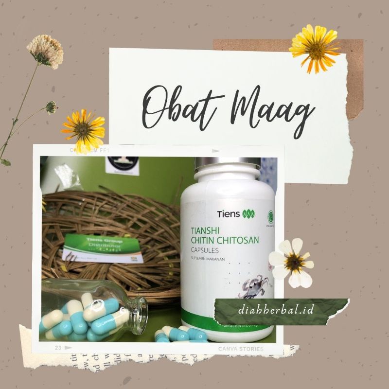 Obat Maag Chitin Chitosan Tiens