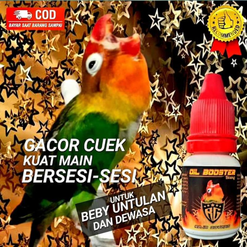 vitamin penggacor burung Lovebird doping burung Lovebird vitamin konslet burung Lovebird RG raja goy