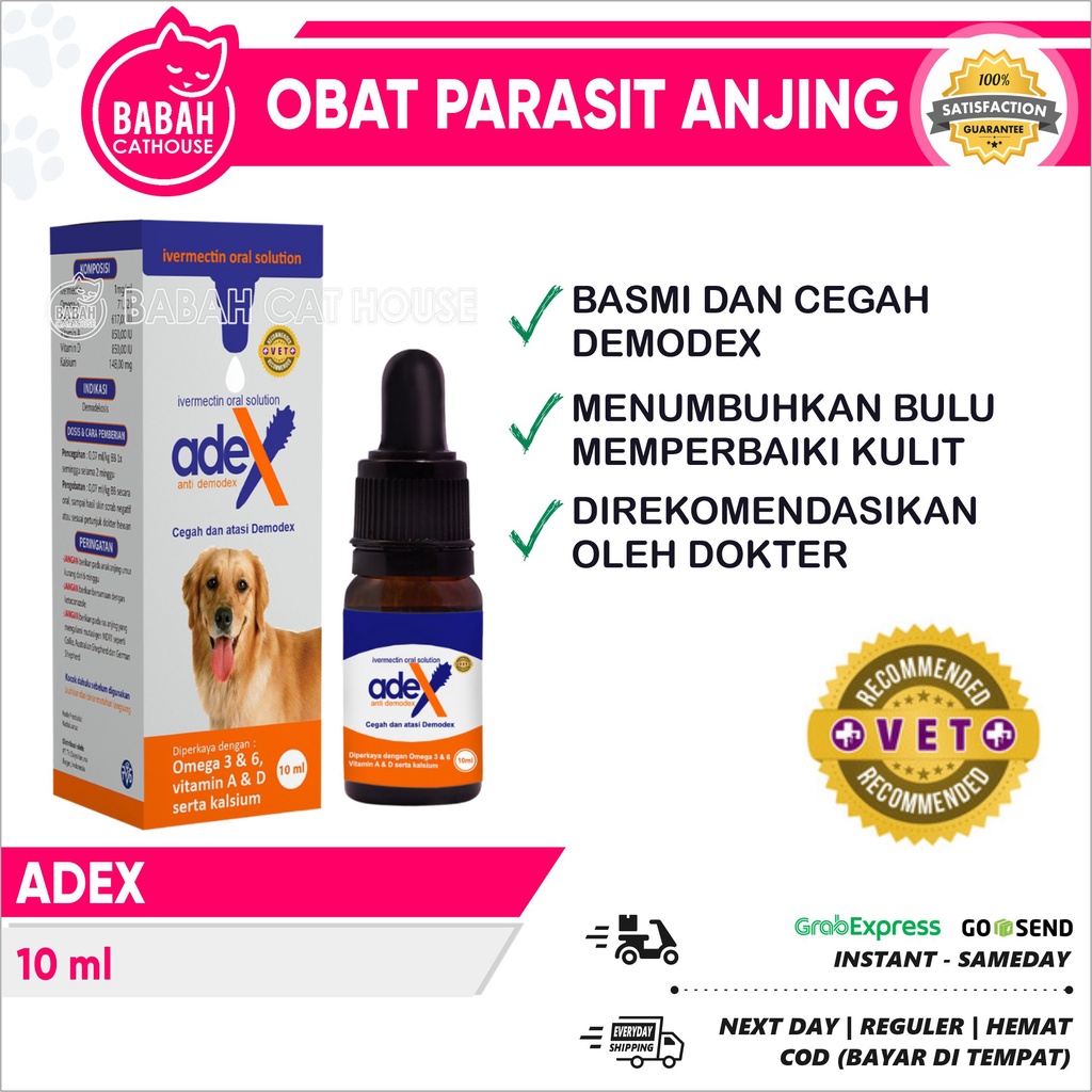 Jual ADEX 10ML Obat Tetes Anti Demodex Demodek Jamur Jamuran Kudis ...