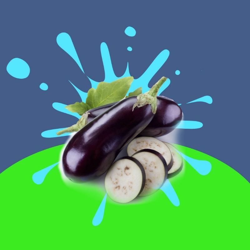 

terong segar / beli per biji