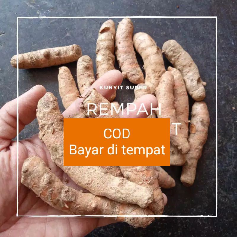 

kunyit super masih ada sisa tanah menempel/kunyit super 1Kg