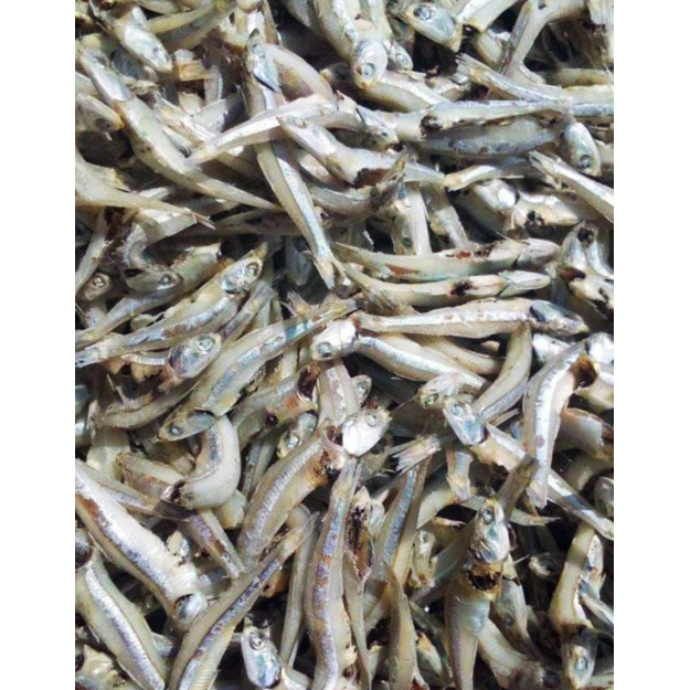 

ikan asin teri jengki/kacang rebus utuh murah tanpa kepala 1 kg