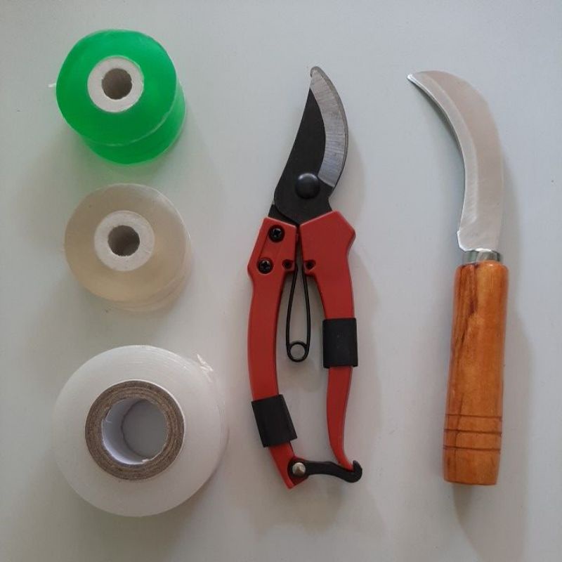 Grafting tool set gunting pisau dan tape Okulasi