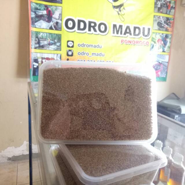 

bee pollen murni 1/2kg - madu madumurni maduasli