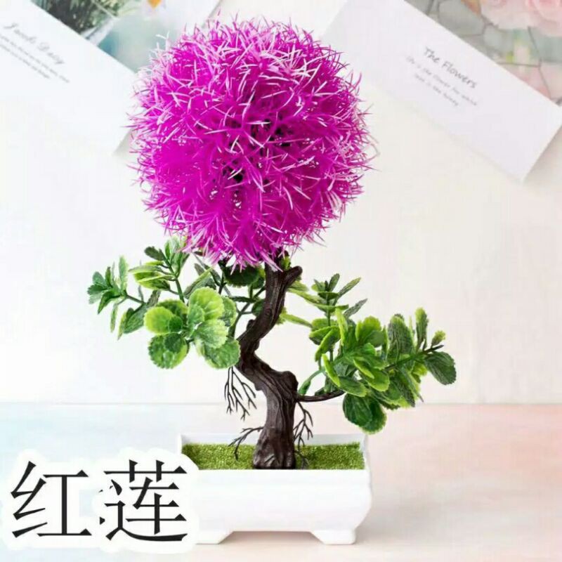 bonsai artificial bulat