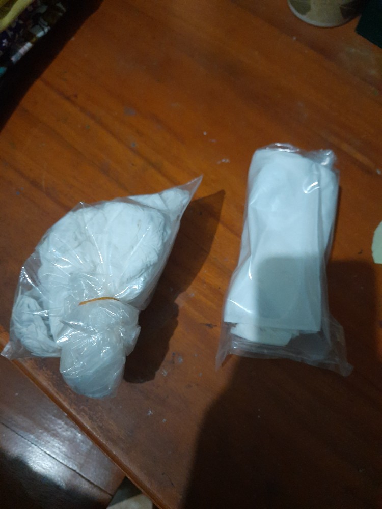 Aglonema Rotundum Aceh Bibit2-3daun Baby Minim Order 5plant