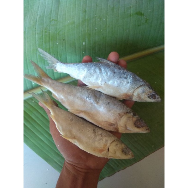 

Ikan Asin Bandeng/1kg Grade A - Bukan Bandeng Presto