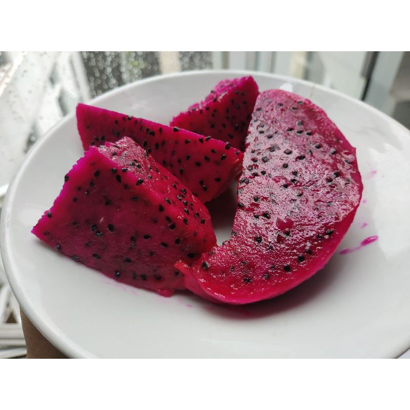 

buah naga organik premium