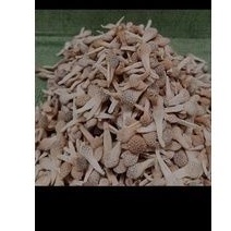 Empot ayam Putih Utuh Super Langka Khusus Keputihan Wanita Kapsul