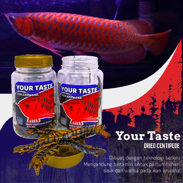 Pelet Pakan Makanan Ikan Arwana Your Taste Kelabang Kering NEEDAMORE