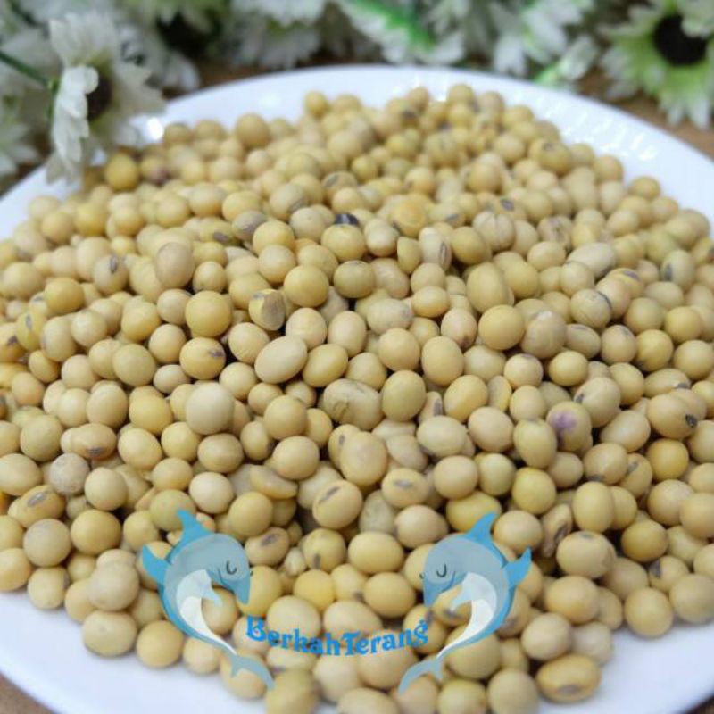 

Kacang Kedelai Organik Mentah Kemasan 250 g Kedelai Super