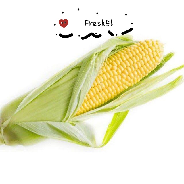 

FreshEl - JAGUNG MADU 1PCS