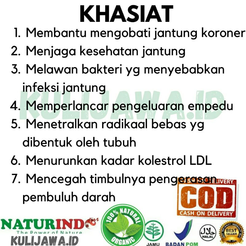 Obat Jantung Koroner Nyeri Dada Sesak Nafas Keringat Dingin Lelah Sakit Perut Leher Bengkak Herbal Ampuh Jamu Tradisional-1