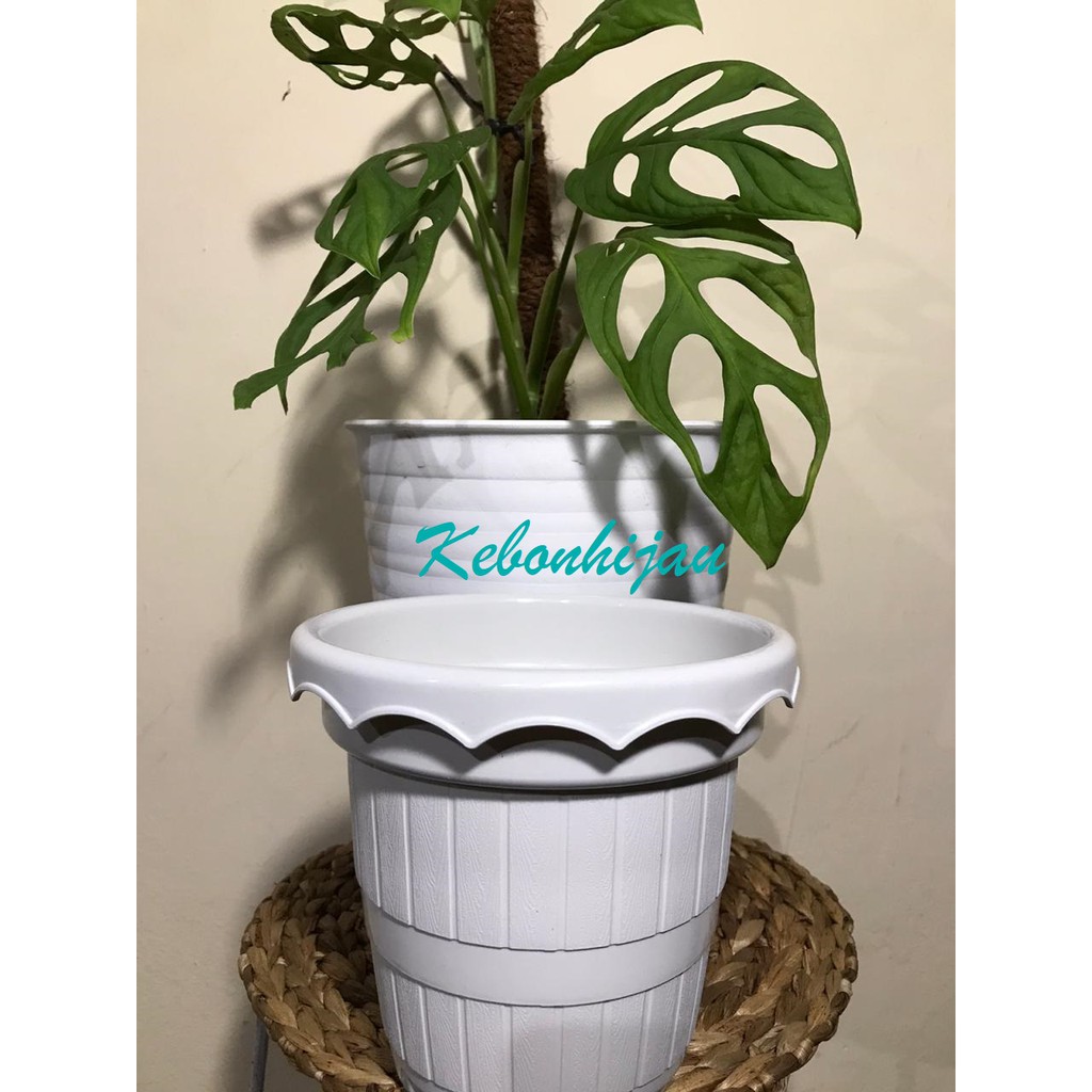 Pot Bunga Nursery / Pot Bunga Nursery Taiwan / Grosir Pot / Pot Murah / PBR 002