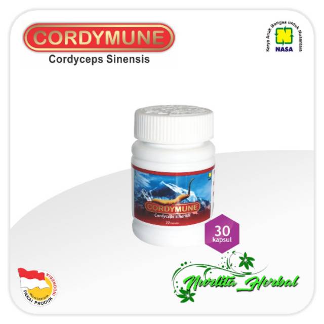 CORDYMUNE HERBAL NASA/NASA ORI/HERBAL MENGOBATI HEPATITIS/herbal batu ginjal/meningkatkan daya tahan