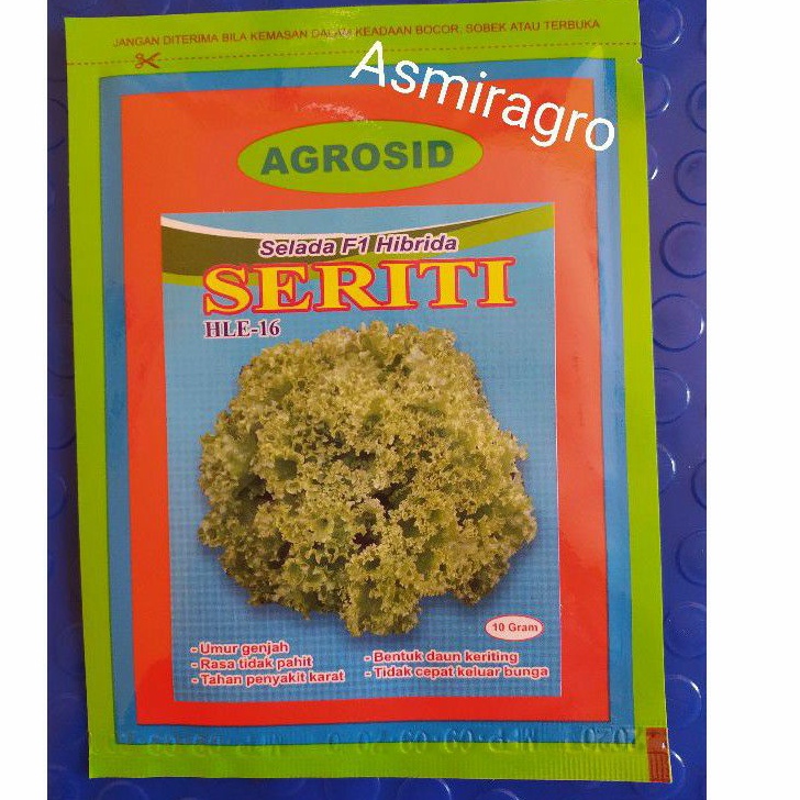 Benih Selada F1 Hibrida SERITI