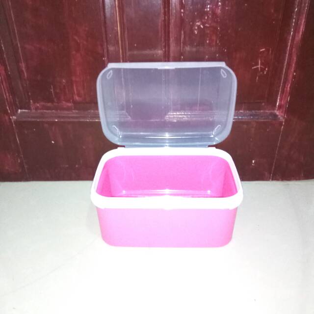 Ezy rect keeper 4.3L