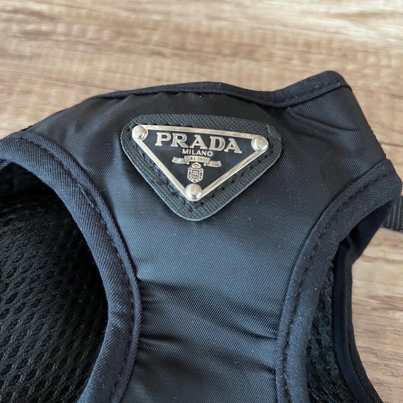 Premium PAWDA Paris harness set