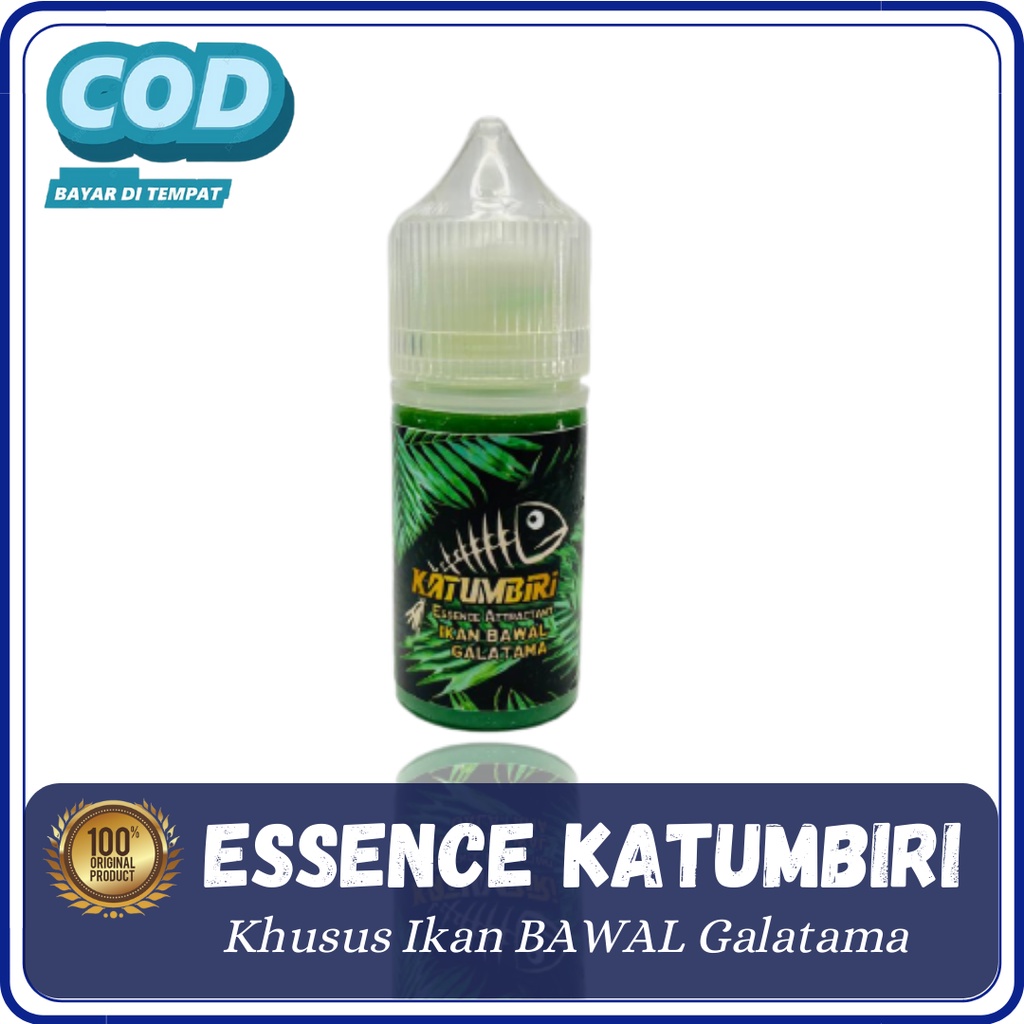 Katumbiri Essen Lomba Galatama Terbaru, Umpan Mancing Khusus Ikan Bawal Galatama, Babon, Indukan