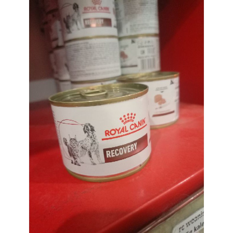 Royal canin Recovery makanan basah kucing 195 g terlaris