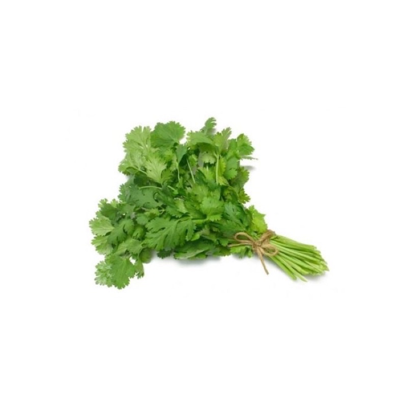 Daun ketumbar / wansui / cilantro