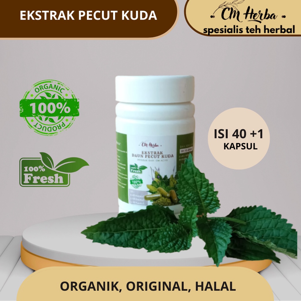 

Obat Herbal Daun Pecut Kuda, Obat Hepatitis, Amandel, Typus,ISI 40 BONUS 1