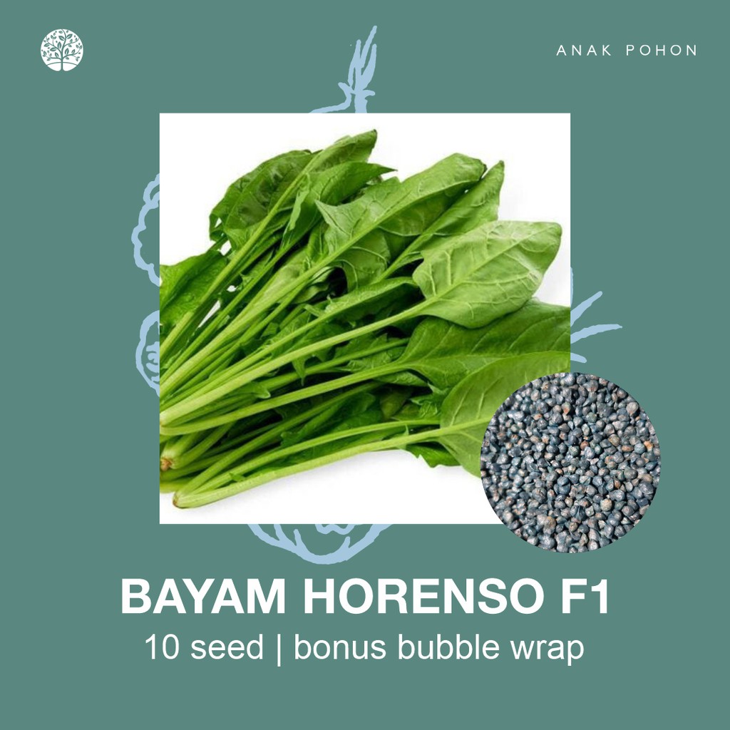 SERBA SERIBU - Benih Bibit Biji - Paket Benih Sayuran DAUN Termurah Kangkung Sawi Selada Seledri Kol-Bayam Horenso F1