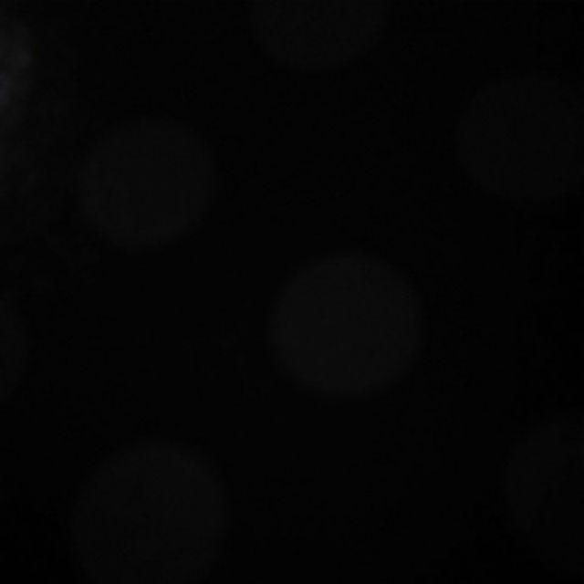 Sendok Scoop Ice Cream