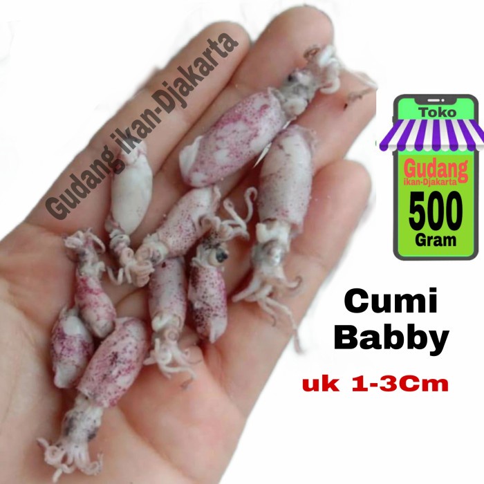 

ikan asin cumi bebby netto-500gram