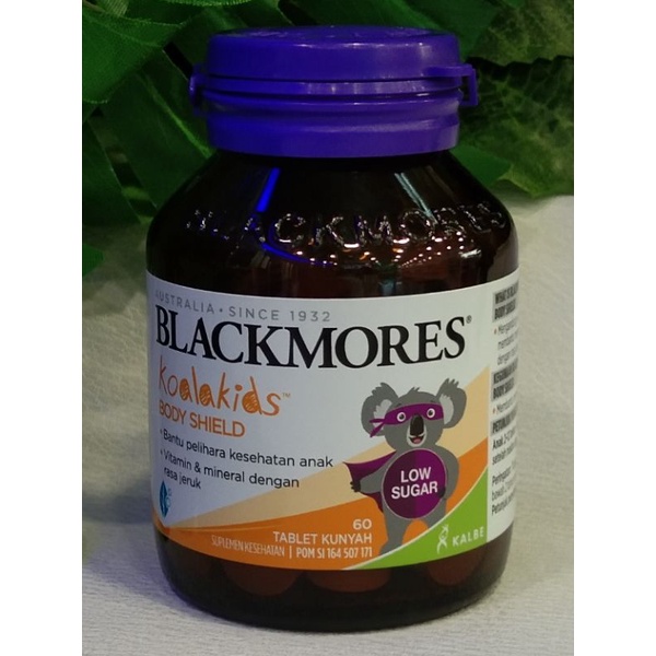 blackmores koala kids bodyshiel