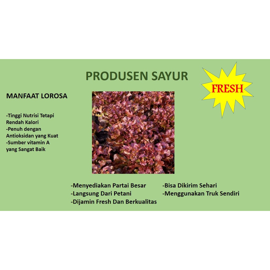

Selada Lorosa Fresh Box