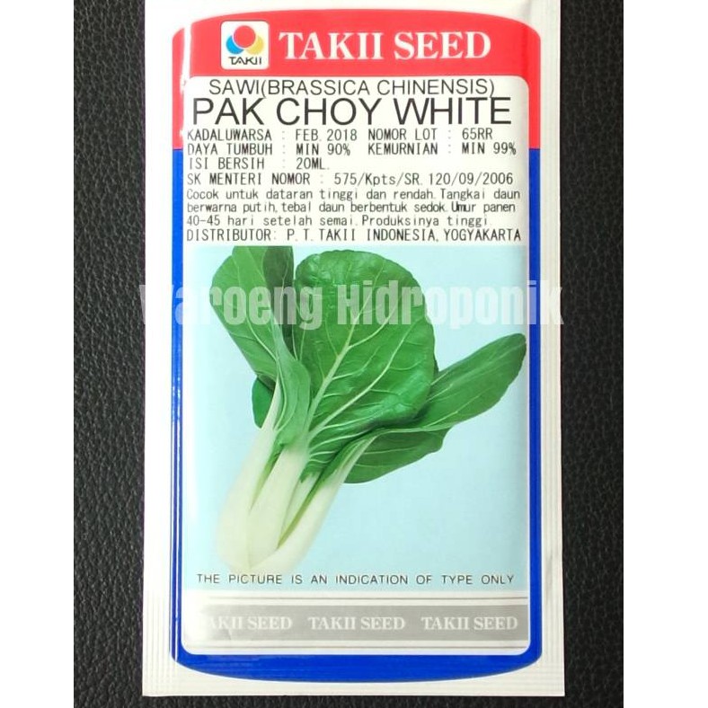 BENIH SAWI PUTIH PAK COI / PAI TSAI / PAK CHOY WHITE TAKII SEED