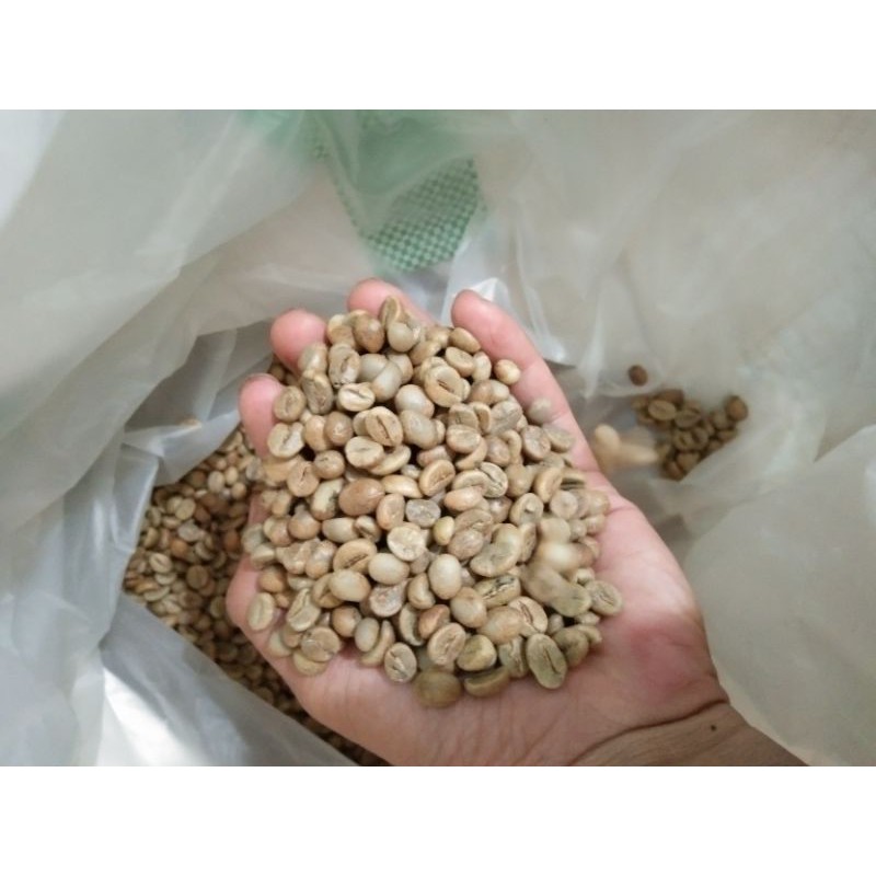 

Green bean Robusta asli pilihan petik merah *500gr
