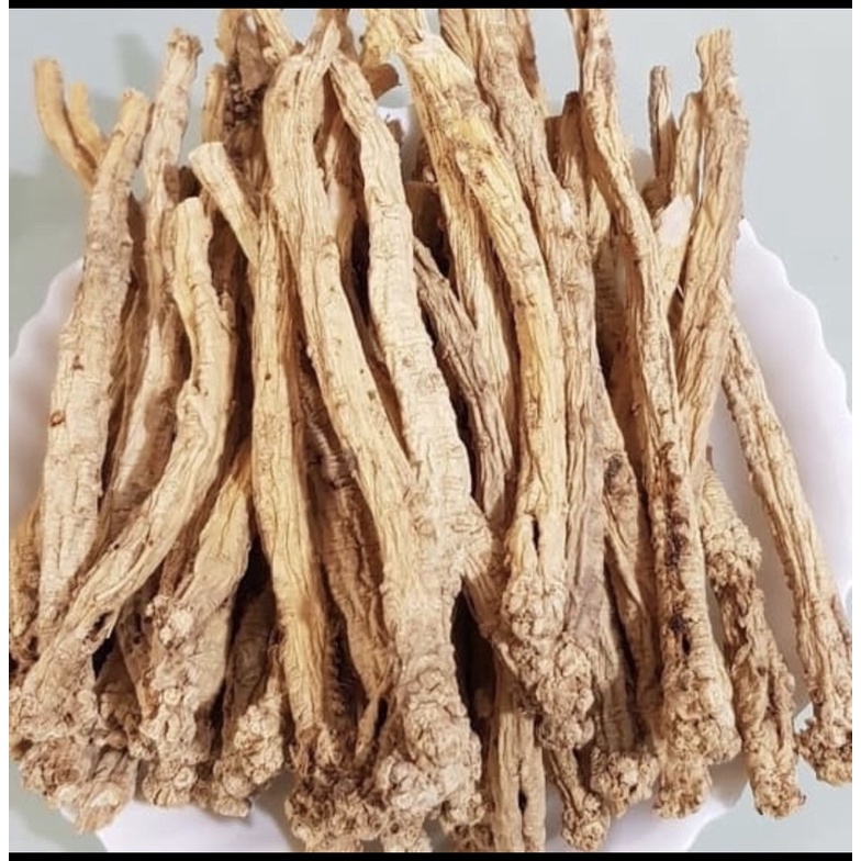 

Tong sim Radix Codonopsis no 4 dang shen 100 gr