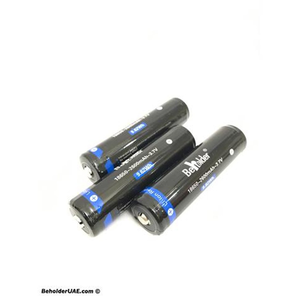 Beholder EC1  MS1  DS1 Original Rechargeable Battery