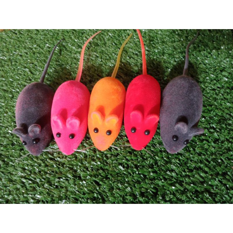  Mainan  tikus kucing  Shopee Indonesia