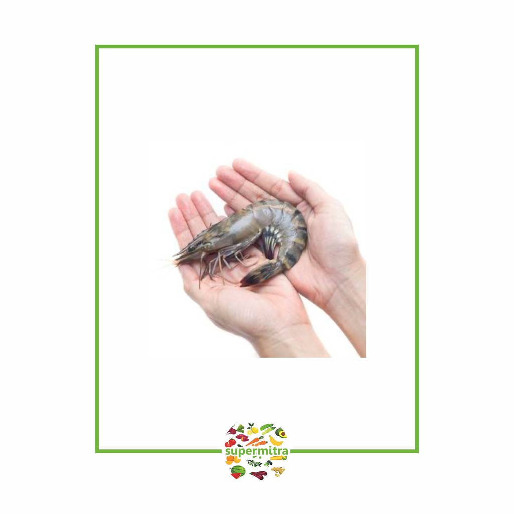 

Udang segar ukuran besar ( 500gr )