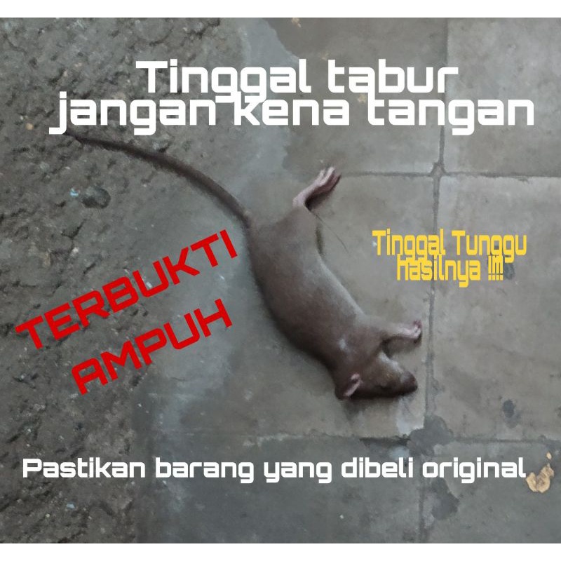 Racun Tikus Mao Wang