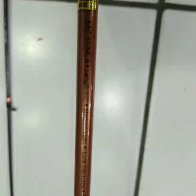 rod Abu Garcia Ascalon AAC 602ML